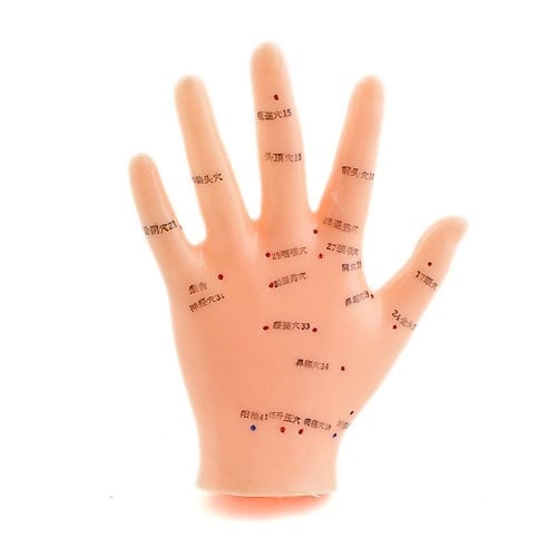 Hand Acupuncture Model
