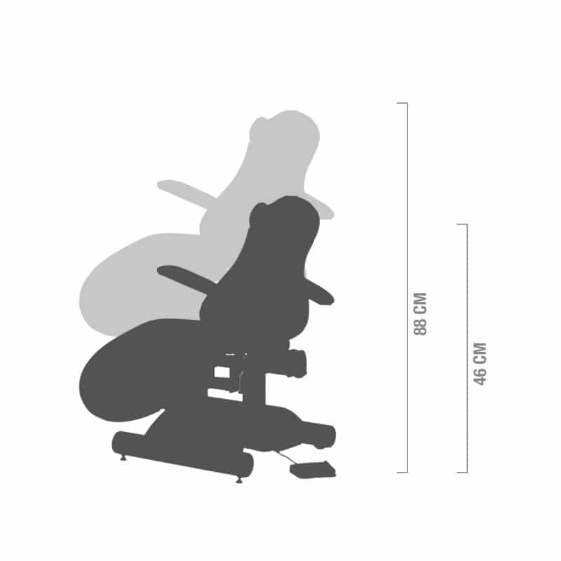 Cosmetic Treatment Chair foot switch | seine