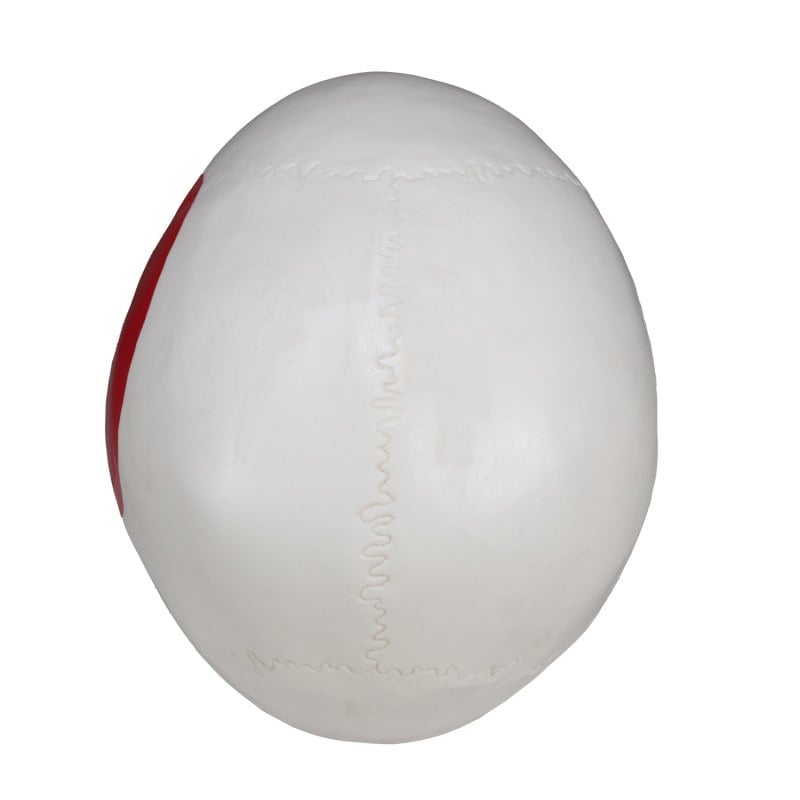 Skull Model with Painted Muscles