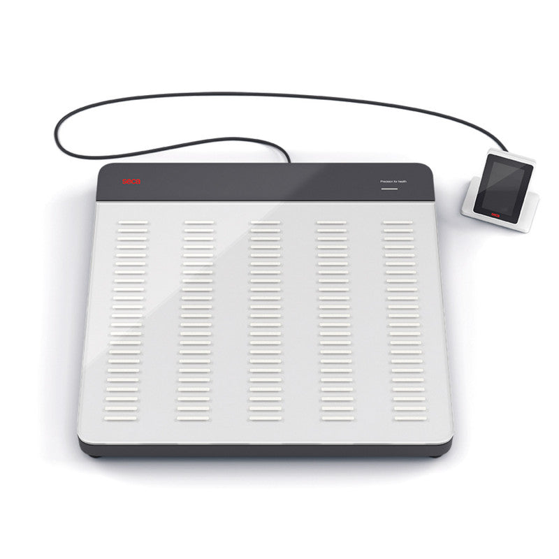 seca 651, Calibrated Flat Scale