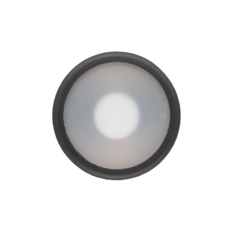 Diaphragm Assembly adult