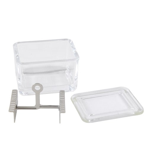 Staining Trough with Dye Insert