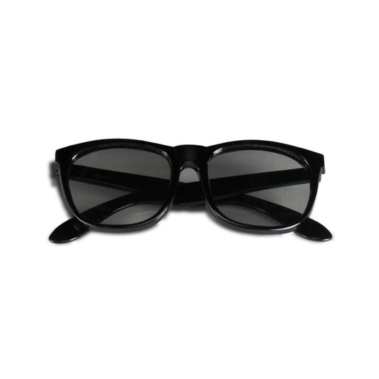 Polarized Glasses for the Fly-S Stereopsis Test