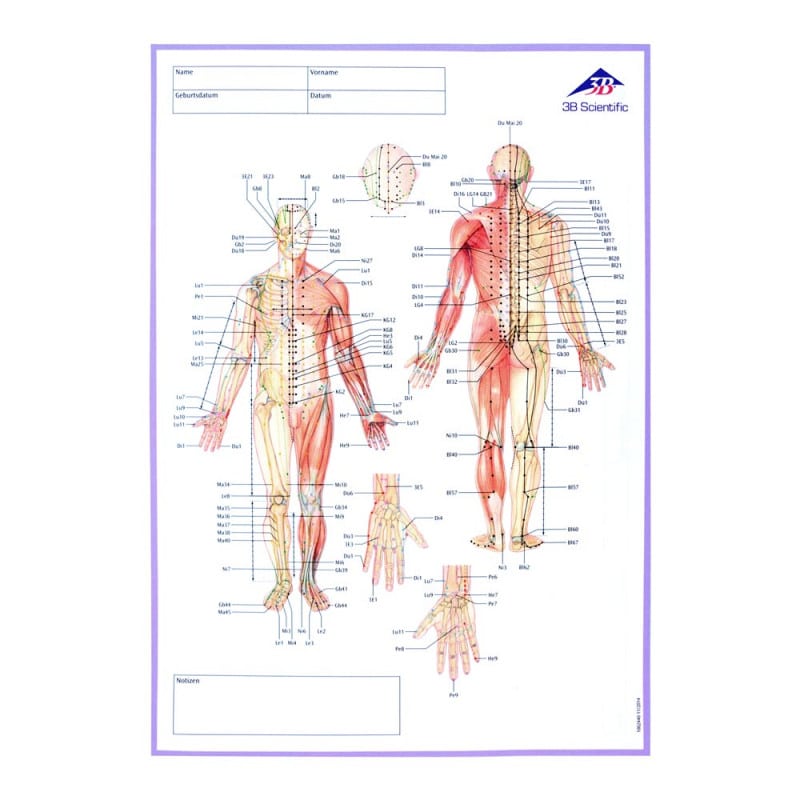 Meridian Notebook
