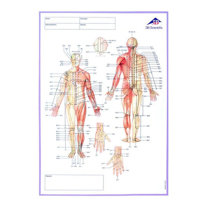 Meridian Notebook