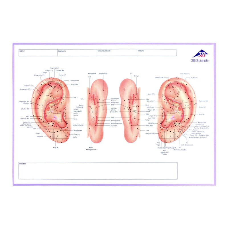 Meridian Notebook