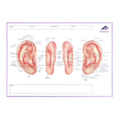 Meridian Notebook