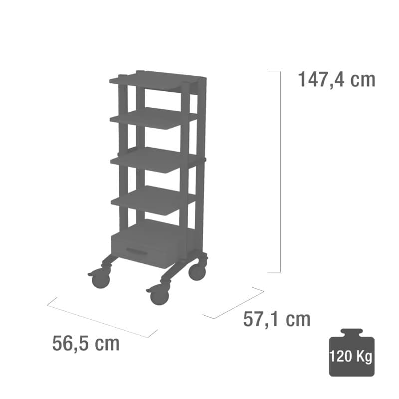 Doppio Endoscopy Trolley blue