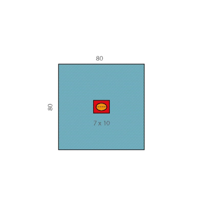 Raucodrape® PRO Eye Drapes