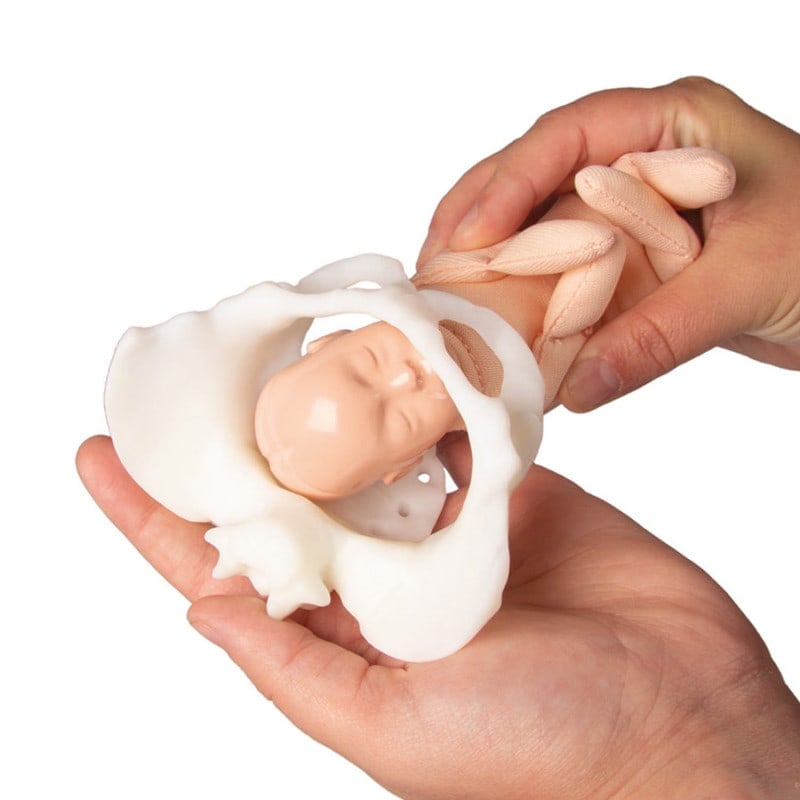 Mini Pelvis with Birthing Doll