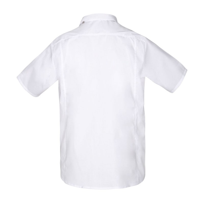 Draco Men's Shirt 38