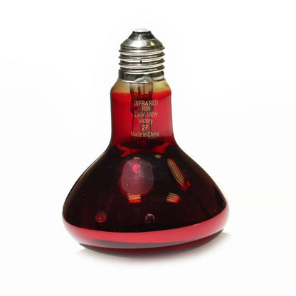 Bulb for Infrared Lamp intensive