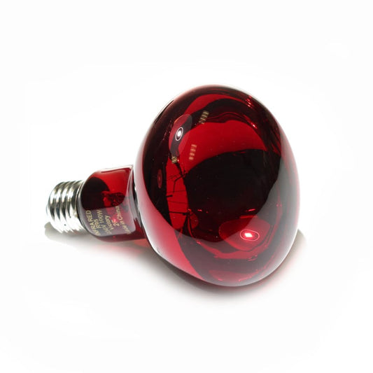 Bulb for Infrared Lamp standard