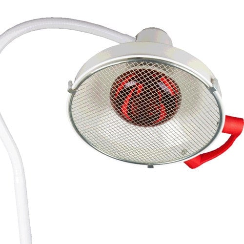 Infrared Therapy Lamp with wall mount