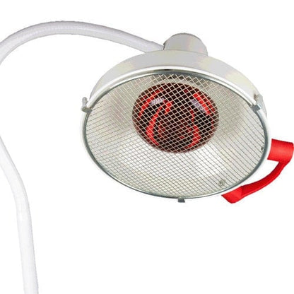 Infrared Therapy Lamp with wall mount